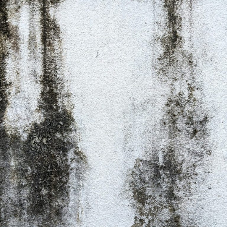 Graue Wand mit Abtragungen und Schimmel, unregelmäßige Muster. Graue Wand mit Abtragungen und Schimmel, unregelmäßige Muster.
